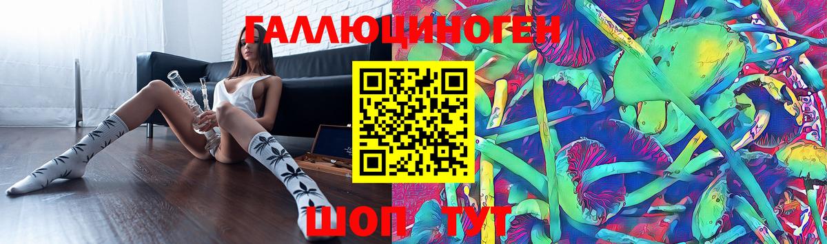 Галлюциногенные грибы Psilocybine cubensis Тайшет