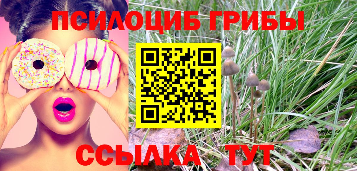 даркнет сайт  Галлюциногенные грибы MAGIC MUSHROOMS  Тайшет  Вход с VPN  Галлюциногенные грибы Magic Shrooms 